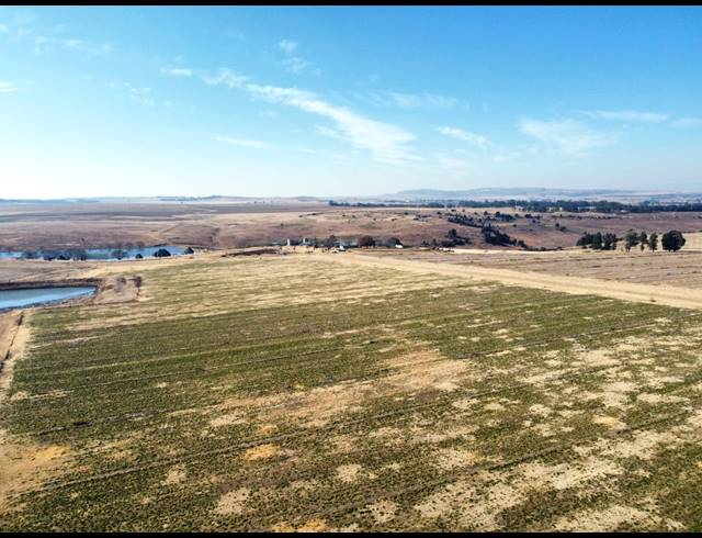 252HA FARM FOR SALE IN BETHLEHEM RURAL